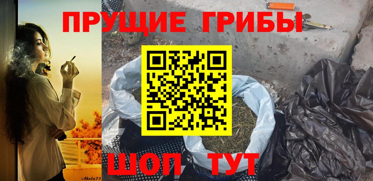 Псилоцибиновые грибы Psilocybe Абинск